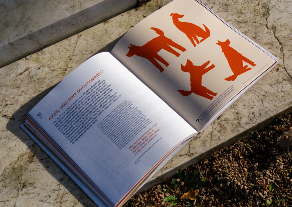 Bender-Paula_HSRM_Werkschau-WS2526_5